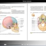 Blio's makers say it will allow students to interact with textbooks in full color.