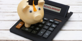 micro-scholarship
