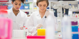 STEM degrees