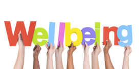 the words student wellbeing in bright colors