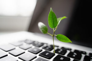 Discover the first steps higher ed can take in the walk towards sustainability and net-zero carbon emissions.